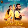 About Tere Bin Song